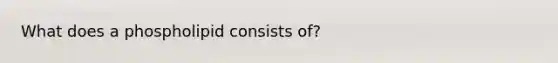 What does a phospholipid consists of?