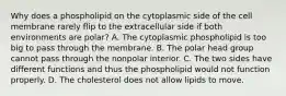 Why does a phospholipid on the cytoplasmic side of the cell membrane rarely flip to the extracellular side if both environments are polar? A. The cytoplasmic phospholipid is too big to pass through the membrane. B. The polar head group cannot pass through the nonpolar interior. C. The two sides have different functions and thus the phospholipid would not function properly. D. The cholesterol does not allow lipids to move.