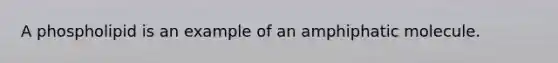 A phospholipid is an example of an amphiphatic molecule.