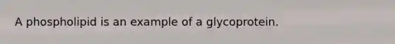 A phospholipid is an example of a glycoprotein.