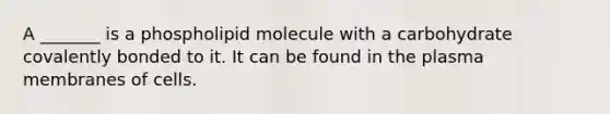 A _______ is a phospholipid molecule with a carbohydrate covalently bonded to it. It can be found in the plasma membranes of cells.