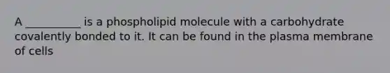 A __________ is a phospholipid molecule with a carbohydrate covalently bonded to it. It can be found in the plasma membrane of cells