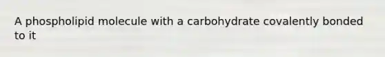 A phospholipid molecule with a carbohydrate covalently bonded to it