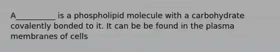 A__________ is a phospholipid molecule with a carbohydrate covalently bonded to it. It can be be found in the plasma membranes of cells