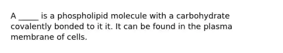 A _____ is a phospholipid molecule with a carbohydrate covalently bonded to it it. It can be found in the plasma membrane of cells.