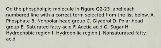 On the phospholipid molecule in Figure Q2-23 label each numbered line with a correct term selected from the list below. A. Phosphate B. Nonpolar head group C. Glycerol D. Polar head group E. Saturated fatty acid F. Acetic acid G. Sugar H. Hydrophobic region I. Hydrophilic region J. Nonsaturated fatty acid