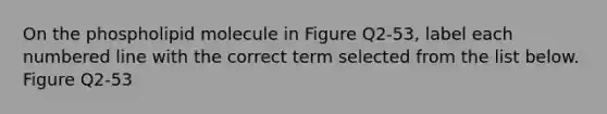 On the phospholipid molecule in Figure Q2-53, label each numbered line with the correct term selected from the list below. Figure Q2-53