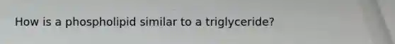 How is a phospholipid similar to a triglyceride?