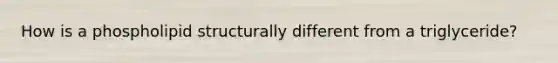 How is a phospholipid structurally different from a triglyceride?