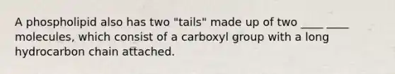 A phospholipid also has two "tails" made up of two ____ ____ molecules, which consist of a carboxyl group with a long hydrocarbon chain attached.