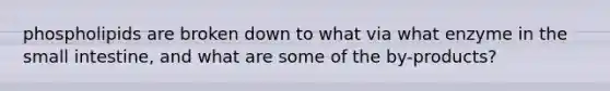 phospholipids are broken down to what via what enzyme in the small intestine, and what are some of the by-products?