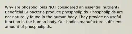 Why are phospholipids NOT considered an essential nutrient? Beneficial GI bacteria produce phospholipids. Phospholipids are not naturally found in the human body. They provide no useful function in the human body. Our bodies manufacture sufficient amount of phospholipids.