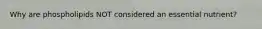 Why are phospholipids NOT considered an essential nutrient?