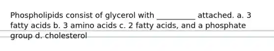 Phospholipids consist of glycerol with __________ attached. a. 3 fatty acids b. 3 amino acids c. 2 fatty acids, and a phosphate group d. cholesterol