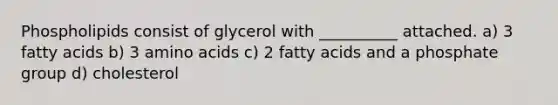 Phospholipids consist of glycerol with __________ attached. a) 3 fatty acids b) 3 amino acids c) 2 fatty acids and a phosphate group d) cholesterol