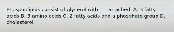 Phospholipids consist of glycerol with ___ attached. A. 3 fatty acids B. 3 amino acids C. 2 fatty acids and a phosphate group D. cholesterol