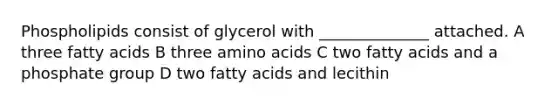 Phospholipids consist of glycerol with ______________ attached. A three fatty acids B three amino acids C two fatty acids and a phosphate group D two fatty acids and lecithin