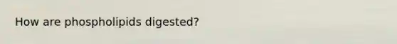 How are phospholipids digested?