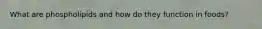 What are phospholipids and how do they function in foods?