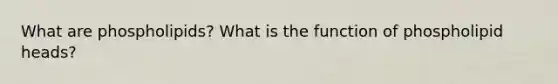 What are phospholipids? What is the function of phospholipid heads?