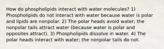 How do phospholipids interact with water molecules? 1) Phospholipids do not interact with water because water is polar and lipids are nonpolar. 2) The polar heads avoid water; the nonpolar tails attract water (because water is polar and opposites attract). 3) Phospholipids dissolve in water. 4) The polar heads interact with water; the nonpolar tails do not.