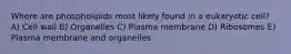 Where are phospholipids most likely found in a eukaryotic cell? A) Cell wall B) Organelles C) Plasma membrane D) Ribosomes E) Plasma membrane and organelles