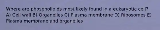 Where are phospholipids most likely found in a eukaryotic cell? A) Cell wall B) Organelles C) Plasma membrane D) Ribosomes E) Plasma membrane and organelles