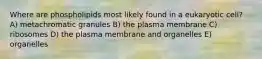 Where are phospholipids most likely found in a eukaryotic cell? A) metachromatic granules B) the plasma membrane C) ribosomes D) the plasma membrane and organelles E) organelles