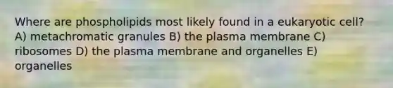 Where are phospholipids most likely found in a eukaryotic cell? A) metachromatic granules B) the plasma membrane C) ribosomes D) the plasma membrane and organelles E) organelles