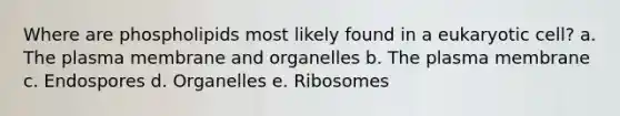 Where are phospholipids most likely found in a eukaryotic cell? a. The plasma membrane and organelles b. The plasma membrane c. Endospores d. Organelles e. Ribosomes