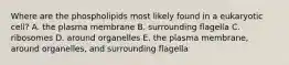 Where are the phospholipids most likely found in a eukaryotic cell? A. the plasma membrane B. surrounding flagella C. ribosomes D. around organelles E. the plasma membrane, around organelles, and surrounding flagella