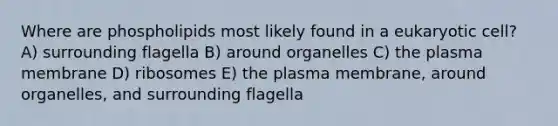 Where are phospholipids most likely found in a eukaryotic cell? A) surrounding flagella B) around organelles C) the plasma membrane D) ribosomes E) the plasma membrane, around organelles, and surrounding flagella