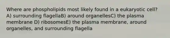 Where are phospholipids most likely found in a eukaryotic cell? A) surrounding flagellaB) around organellesC) the plasma membrane D) ribosomesE) the plasma membrane, around organelles, and surrounding flagella