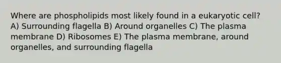 Where are phospholipids most likely found in a eukaryotic cell? A) Surrounding flagella B) Around organelles C) The plasma membrane D) Ribosomes E) The plasma membrane, around organelles, and surrounding flagella