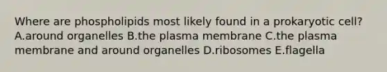 Where are phospholipids most likely found in a prokaryotic cell? A.around organelles B.the plasma membrane C.the plasma membrane and around organelles D.ribosomes E.flagella