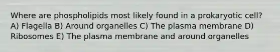 Where are phospholipids most likely found in a prokaryotic cell? A) Flagella B) Around organelles C) The plasma membrane D) Ribosomes E) The plasma membrane and around organelles