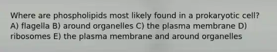 Where are phospholipids most likely found in a prokaryotic cell? A) flagella B) around organelles C) the plasma membrane D) ribosomes E) the plasma membrane and around organelles