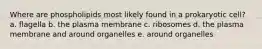 Where are phospholipids most likely found in a prokaryotic cell? a. flagella b. the plasma membrane c. ribosomes d. the plasma membrane and around organelles e. around organelles