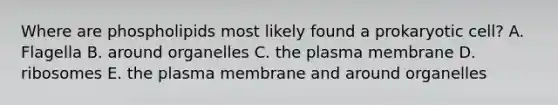 Where are phospholipids most likely found a prokaryotic cell? A. Flagella B. around organelles C. the plasma membrane D. ribosomes E. the plasma membrane and around organelles