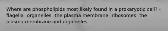 Where are phospholipids most likely found in a prokaryotic cell? -flagella -organelles -the plasma membrane -ribosomes -the plasma membrane and organelles