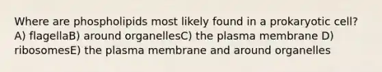 Where are phospholipids most likely found in a prokaryotic cell? A) flagellaB) around organellesC) the plasma membrane D) ribosomesE) the plasma membrane and around organelles