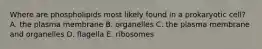 Where are phospholipids most likely found in a prokaryotic cell? A. the plasma membrane B. organelles C. the plasma membrane and organelles D. flagella E. ribosomes