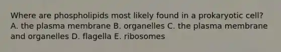 Where are phospholipids most likely found in a prokaryotic cell? A. the plasma membrane B. organelles C. the plasma membrane and organelles D. flagella E. ribosomes