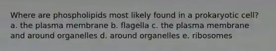 Where are phospholipids most likely found in a prokaryotic cell? a. the plasma membrane b. flagella c. the plasma membrane and around organelles d. around organelles e. ribosomes