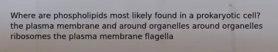 Where are phospholipids most likely found in a prokaryotic cell? the plasma membrane and around organelles around organelles ribosomes the plasma membrane flagella