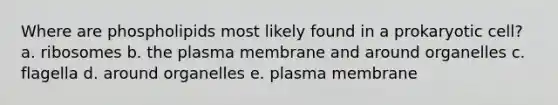 Where are phospholipids most likely found in a prokaryotic cell? a. ribosomes b. the plasma membrane and around organelles c. flagella d. around organelles e. plasma membrane