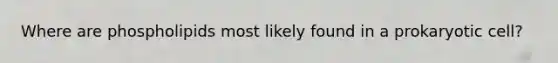 Where are phospholipids most likely found in a prokaryotic cell?