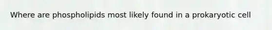 Where are phospholipids most likely found in a prokaryotic cell