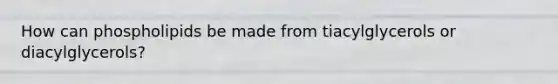 How can phospholipids be made from tiacylglycerols or diacylglycerols?