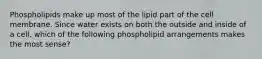 Phospholipids make up most of the lipid part of the cell membrane. Since water exists on both the outside and inside of a cell, which of the following phospholipid arrangements makes the most sense?